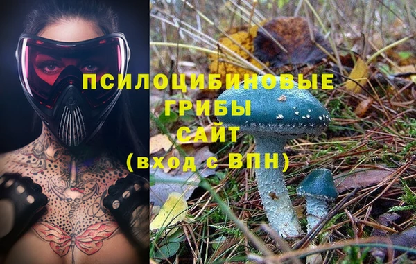 индика Алексеевка