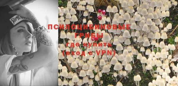 индика Алексеевка