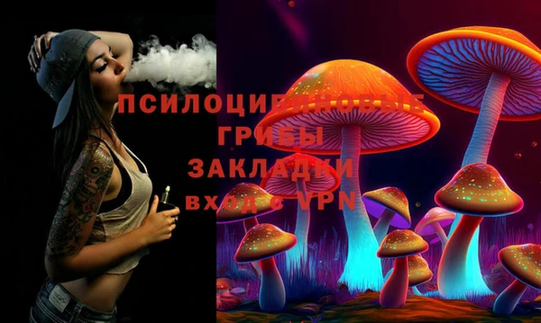 индика Алексеевка