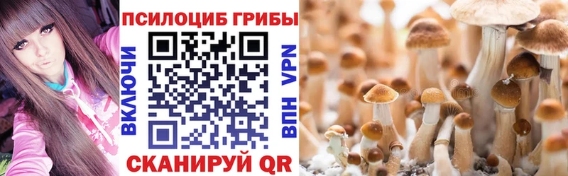 Галлюциногенные грибы MAGIC MUSHROOMS  Берёзовский 